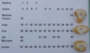 Und hier das offizielle Dokumment zur Gewinnziehung