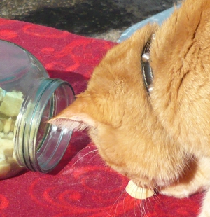 . . . und das anschließende Verlesen der Gewinnzahlen