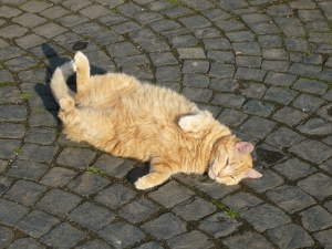 Bis dahin bereitet sich Flori erschöpft aber glücklich auf die nächste Ziehung vor