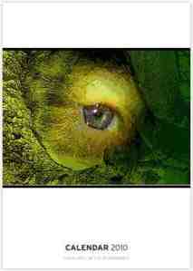 work.5735577.2.caf,294x416,2010,Creatures1